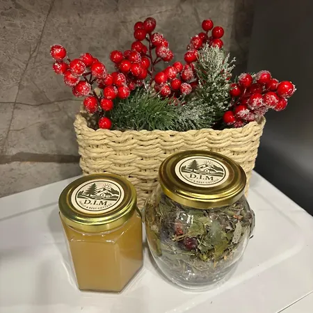 بيت للعطل Dim в карпатах Tukhlya