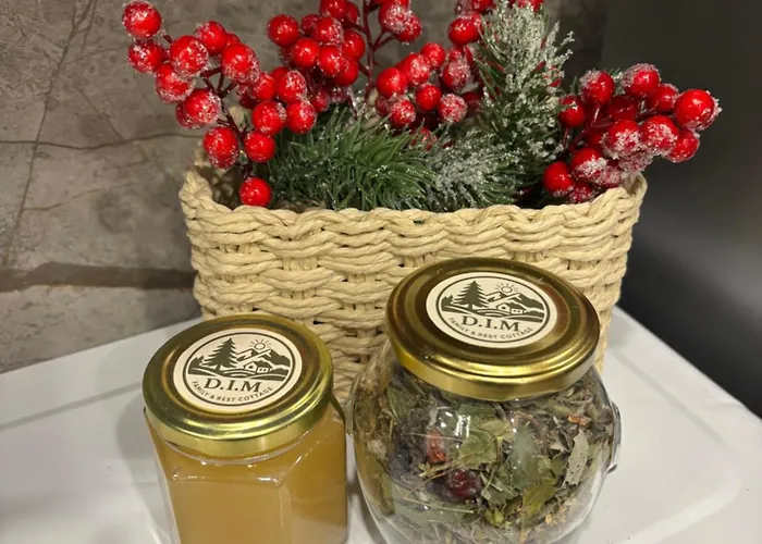 بيت للعطل Dim в карпатах Tukhlya